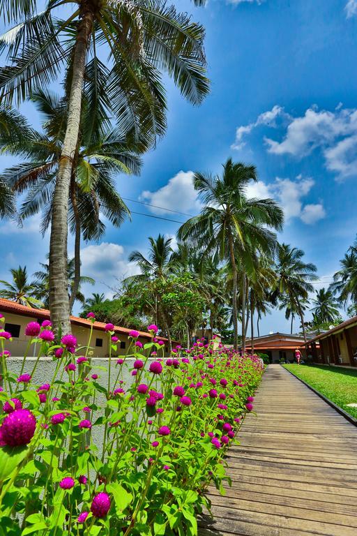 Amagi Beach - Secluded Slice Of Paradise Marawila Exterior photo