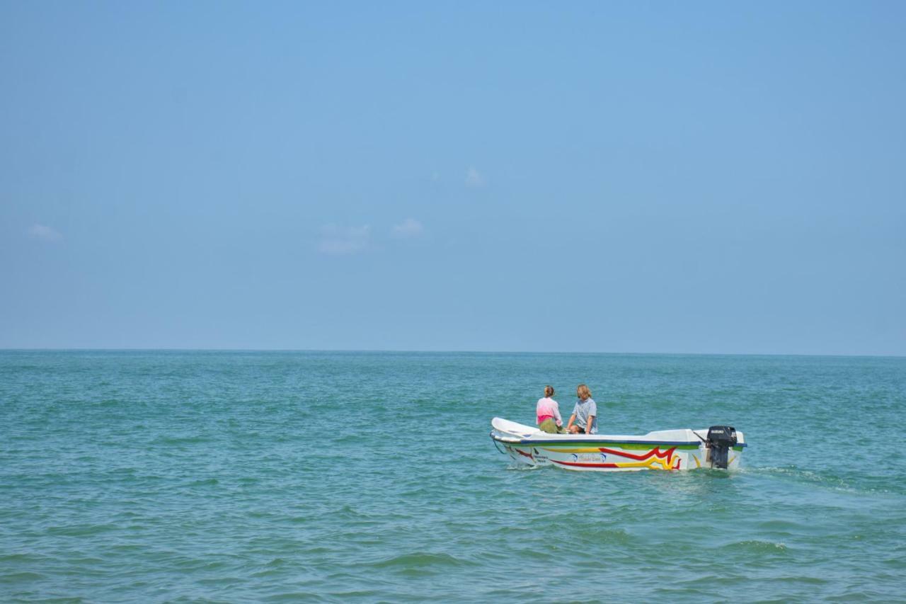 Amagi Beach - Secluded Slice Of Paradise Marawila Exterior photo