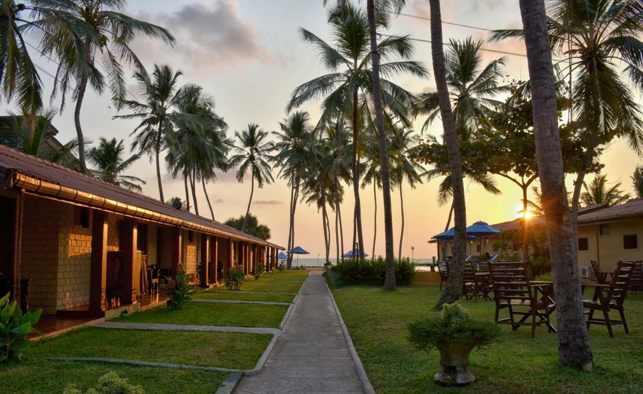 Amagi Beach - Secluded Slice Of Paradise Marawila Exterior photo