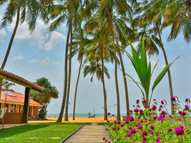 Amagi Beach - Secluded Slice Of Paradise Marawila Exterior photo
